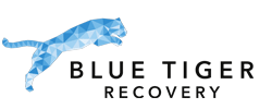 Blue-Tiger-Recovery