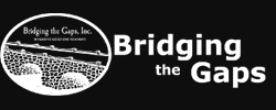 Bridging-the-Gaps-Inc.